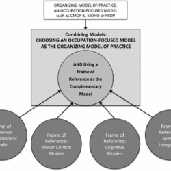 Biomechanical model in occupational therapy