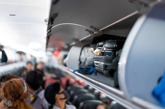 Airbus overhead bins cabine a321neo luggage a321 cabin bagages a320 nouveaux laisse avions cabina launches airspace operar comienza debuts regole