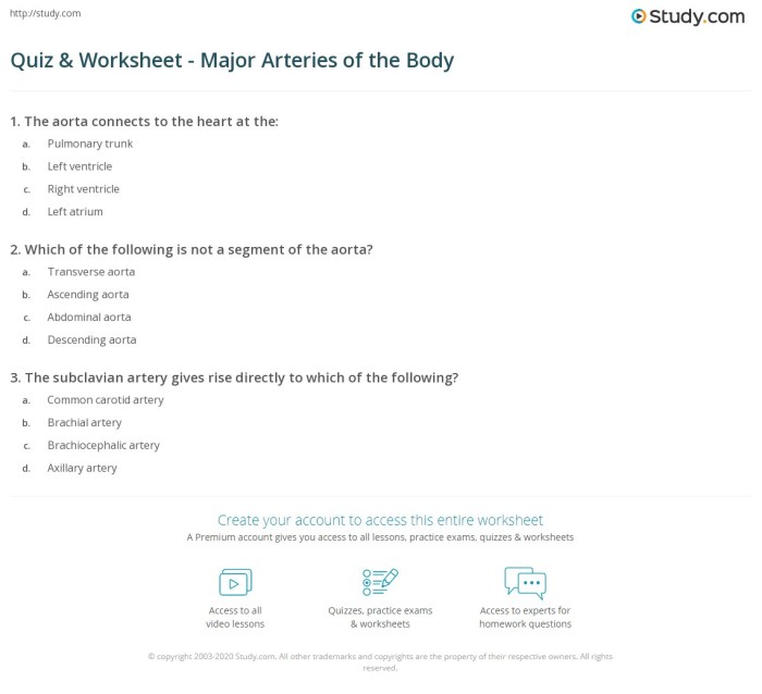 Arteries veins goconqr