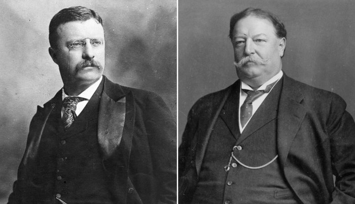 Theodore roosevelt warned william howard taft that tariff reform would